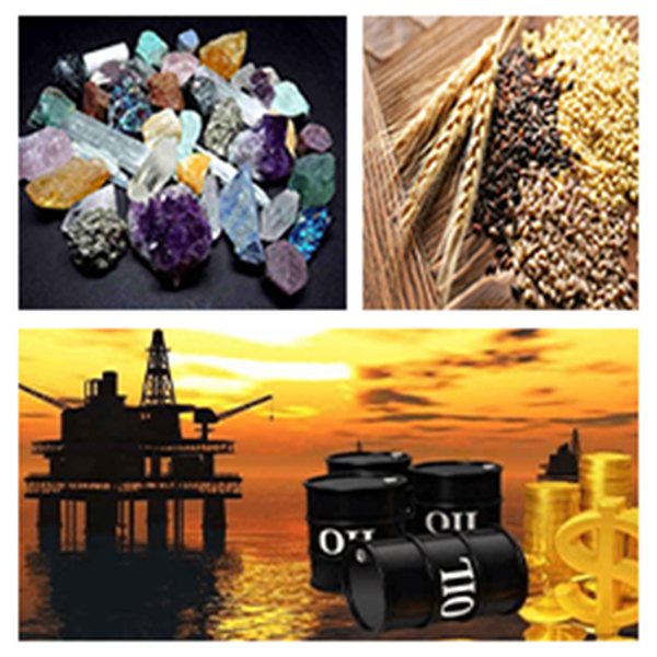 India - Niger Business and Cultural Council Top Imports of Niger