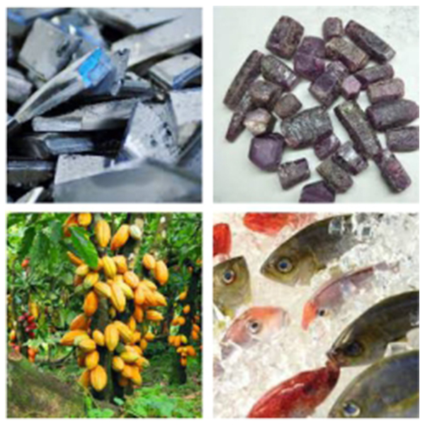 India - Papua New Guinea Business and Cultural Council - Top Imports of Papua New Guinea