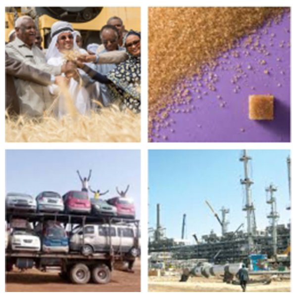 India - Sudan Business and Cultural Council - Top Imports of Sudan