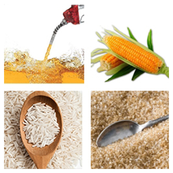 India - Venezuela Business and Cultural Council - Top Imports of Venezuela