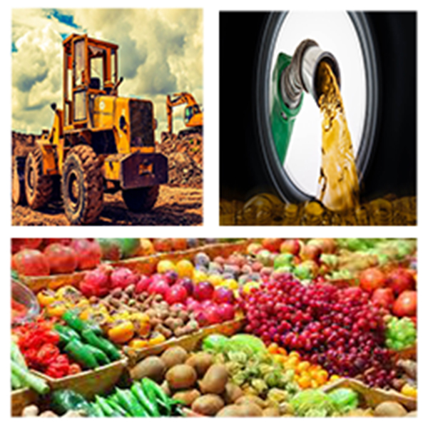 India - Zimbabwe Business and Cultural Council - Top Imports of Zimbabwe