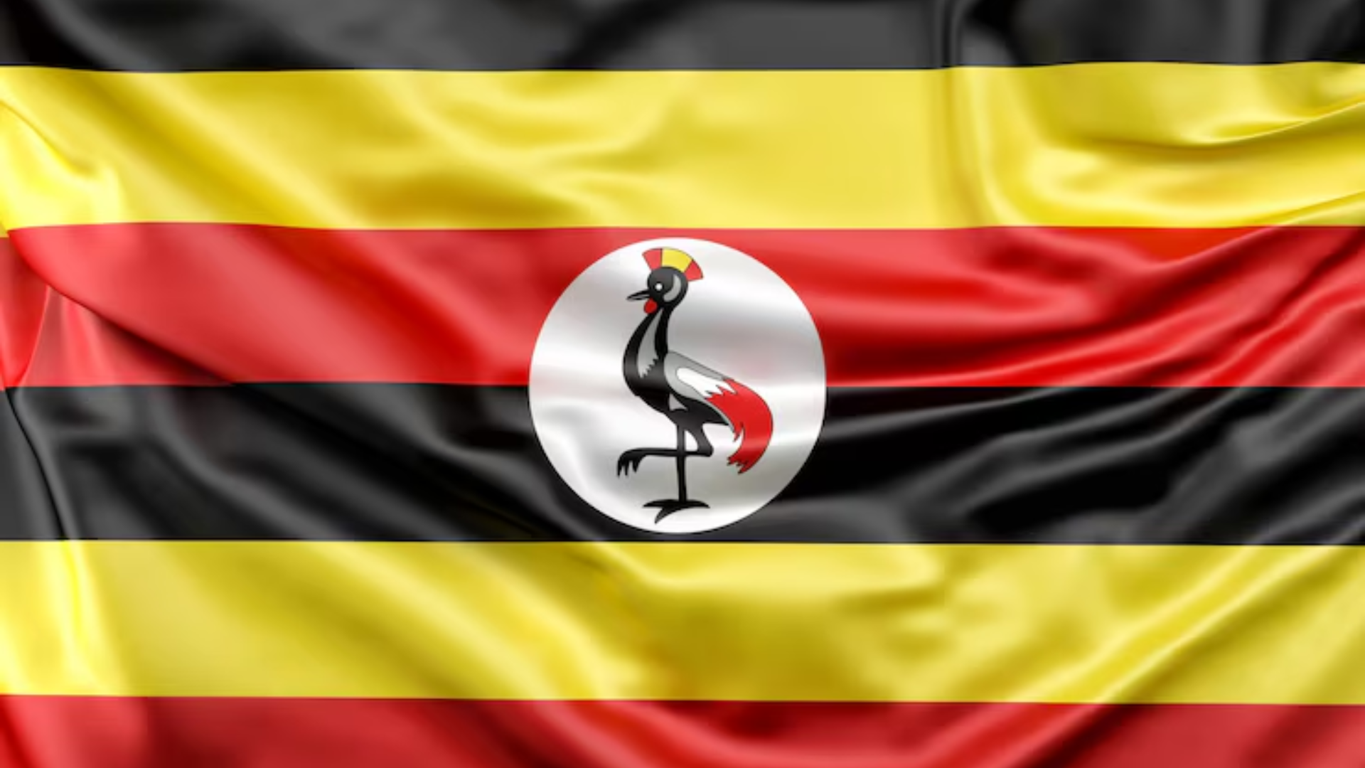 Celebrating with Latin Countries - Colombia Flag